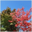 덕유산펜션 이미지