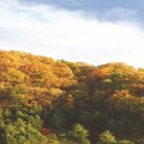 서울-삼동-삼동01 이미지