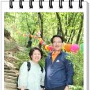 삼은사 이미지