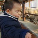 월드목장 이미지