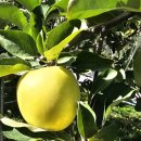 청주영재어린이집 이미지