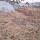 고은농장 이미지