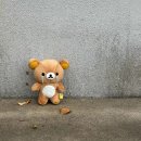 다이소 대구안지랑점 | 4분기 나영의 일상