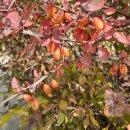 중랑천 만남의 광장 이미지