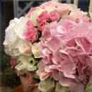 스매쉬 데뷔5주년 꽃배달 일산꽃배달 - 데뷔축하선물로 꽃배달된 아름다운 꽃바구니 이미지
