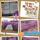 부천 종합운동장(나 ? 7) 이미지