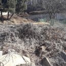 노은면사무소 이미지