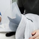 태일동물치과병원 이미지