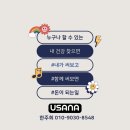 유사나 브랜드데이/ 야구 직관 제대로 즐기는 법