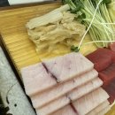 다보참치 이미지