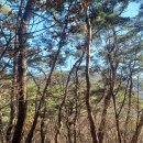 오안초등학교 이미지