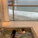 메르드로브 | 부산 메르드로브 4차 공구 안내(2/24 ~ 3/1)