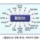 폴리페놀이란?/안토시아닌/레스베라트롤/이소폴라본/헤스페리딘/커큐민/카테친(카테킨)/탄닌/자유 래디컬 이미지