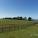 달코네민박 이미지