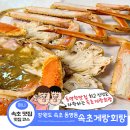 속초게랑회랑 이미지