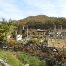 선리농장 이미지