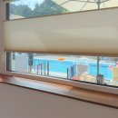 씨그넷풀스테이 이미지