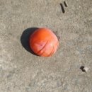 청도감마을 이미지