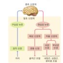 생명과학1 비상교육 교과서(심규철 외) 질문 3가지 드립니다. 이미지