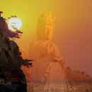 청담 바보 이미지