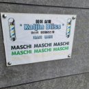 마스키 칼진블리스 이미지