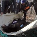 꼬마동물병원 이미지