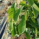 별샘농장 이미지