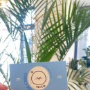 커들리독 이미지