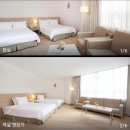 뉴비앤비모텔