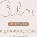 캄애견미용학원 네이버블로그