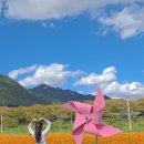 황산(주차장)화장실 이미지