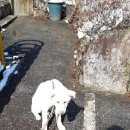 서부산업도로 이미지