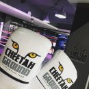 치타그라운드(cheetah ground) | 복싱클럽 치타그라운드(Cheetah Ground) 브랜딩 디자인