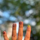 손톱하는뇨자 이미지