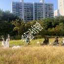 여기는에땅창작소미술학원 | 2024 송파 예술단지 프로젝트 <송들바람> 투어 현장 스케치①