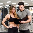 나인핏 피티 이미지