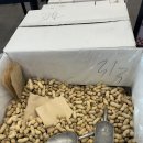 주류성빌딩, 파이브가이즈 강남 이미지