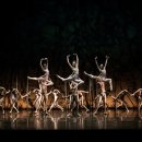 봄의 제전 이미지