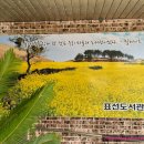 표선도서관 주차장 네이버블로그