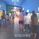 고기이야기 이미지