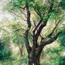 명리학(초급) 이미지