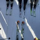 에이스호텔 | 강원도 정선 하이원 리조트 5분거리 에이스가족관광호텔 내돈내산 후기