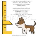 스피치 이미지