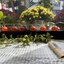 중앙동286 이미지