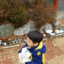 용문산관광지 야영장 이미지