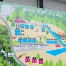 축령산 히든벨리 | 축령산히든밸리캠핑장, 명당 예약 꿀팁 : 사이트 배치도