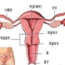 내추럴싸이언스 이미지