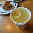 토끼랑 | [파주 예쁜 카페] 파주 얼음폭포, 오리, 토끼, 알파카 볼 수 있는 이색 카페 ‘초리골 164’