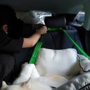 해운대 펫택시 이미지