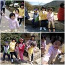 백련건재 | 강진여행 (1박2일) - 백련사 동백숲에 바람이 인다.